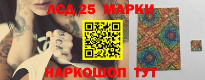 прущие грибы Славянск-на-Кубани