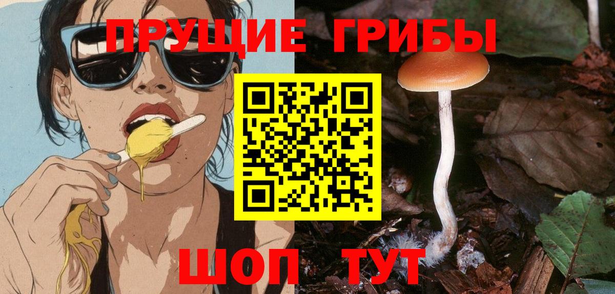 Санкт-Петербург  Псилоцибиновые грибы Cubensis  Псилоцибиновые грибы мицелий  Вход с VPN 