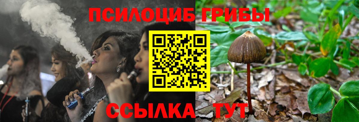 Псилоцибиновые грибы прущие грибы Санкт-Петербург