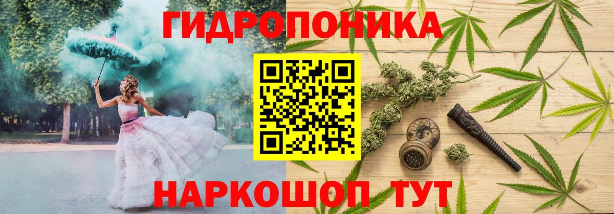 Канабис конопля  Канабис Ganja  Санкт-Петербург  Канабис семена  Вход с VPN 